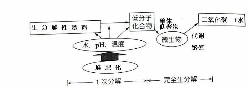 可生物降解環(huán)保塑料可以回收再利用嗎？(圖3)